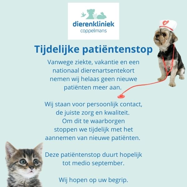 Tijdelijke patiëntenstop - Dierenkliniek Coppelmans