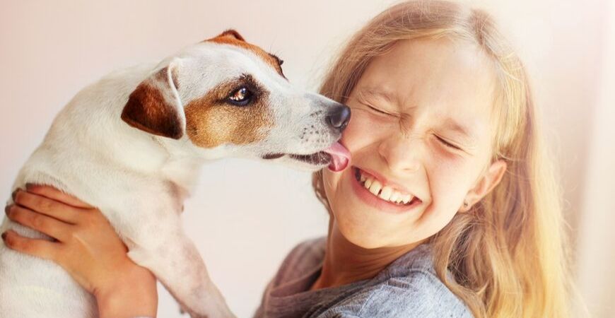 Aanschaf puppy/hond | Dierenkliniek Coppelmans