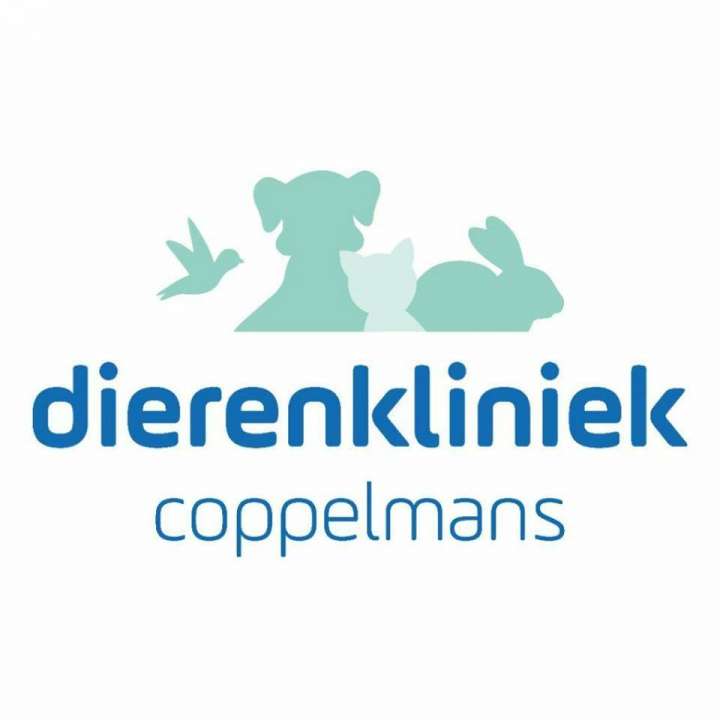 Maak kennis met uw dierenarts in Geldrop! Maak kennis met uw dierenarts in Geldrop!